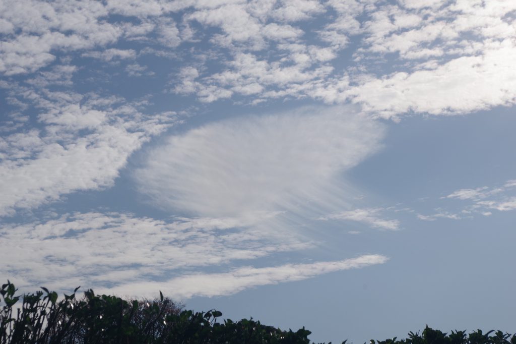 珍しい雲 シティ ウォッチ スクエア